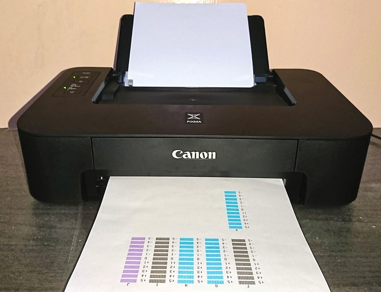 Canon PIXMA TS207 Printer picture.jpg